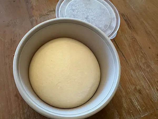 Pizzateigballen in kleinen runden Behältern mit Deckel