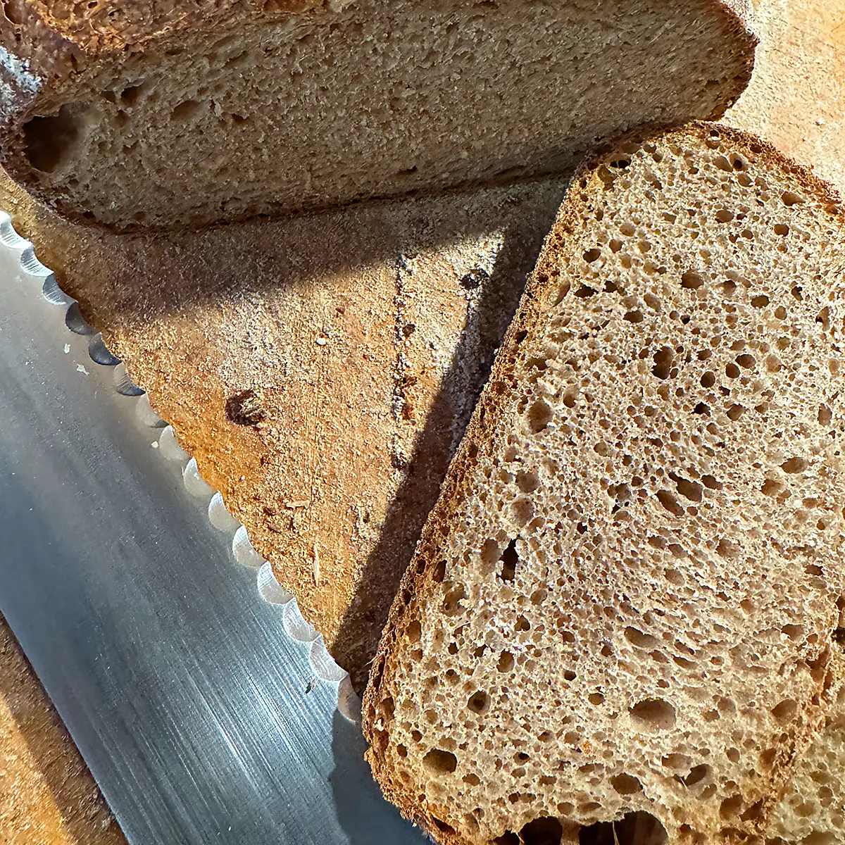 Ruchmehl-Dinkelvollkornbrot