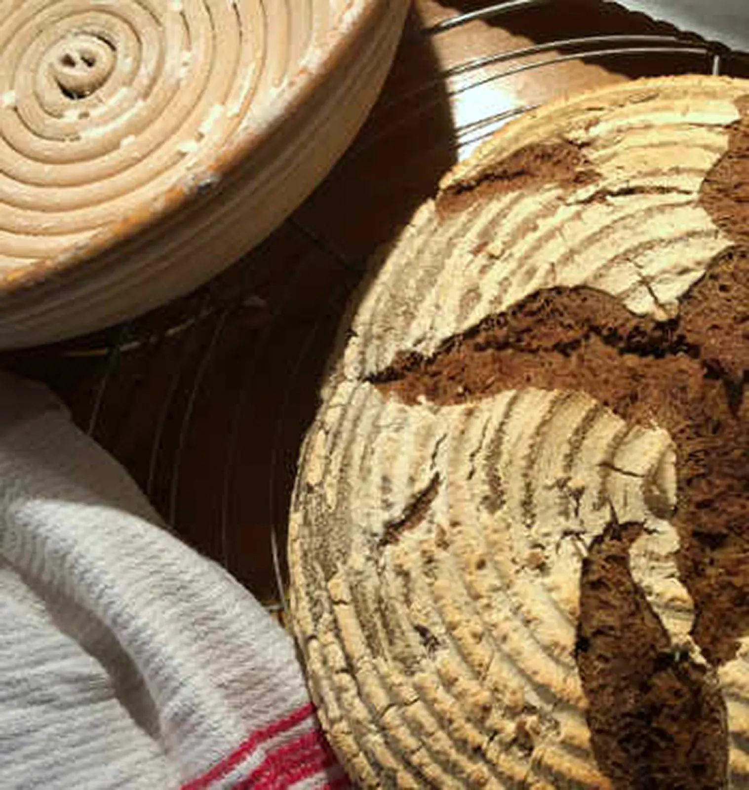 Vollkornbrot aus Weizen- und Roggenvollkornmehl nur mit Sauerteig