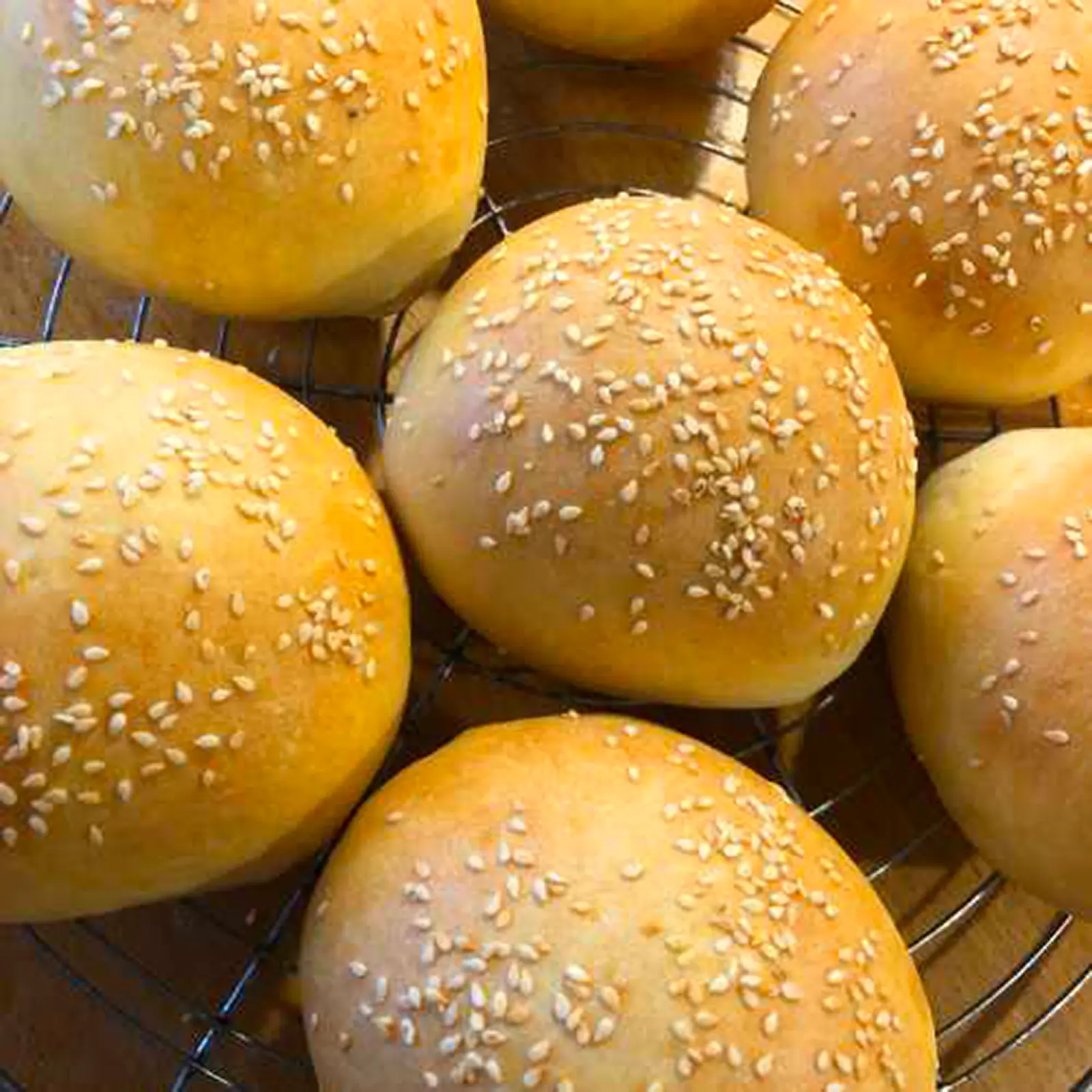 Burger-Buns