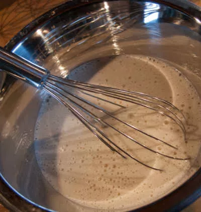 Fermentierter Ansatz Sauerteig 1.0