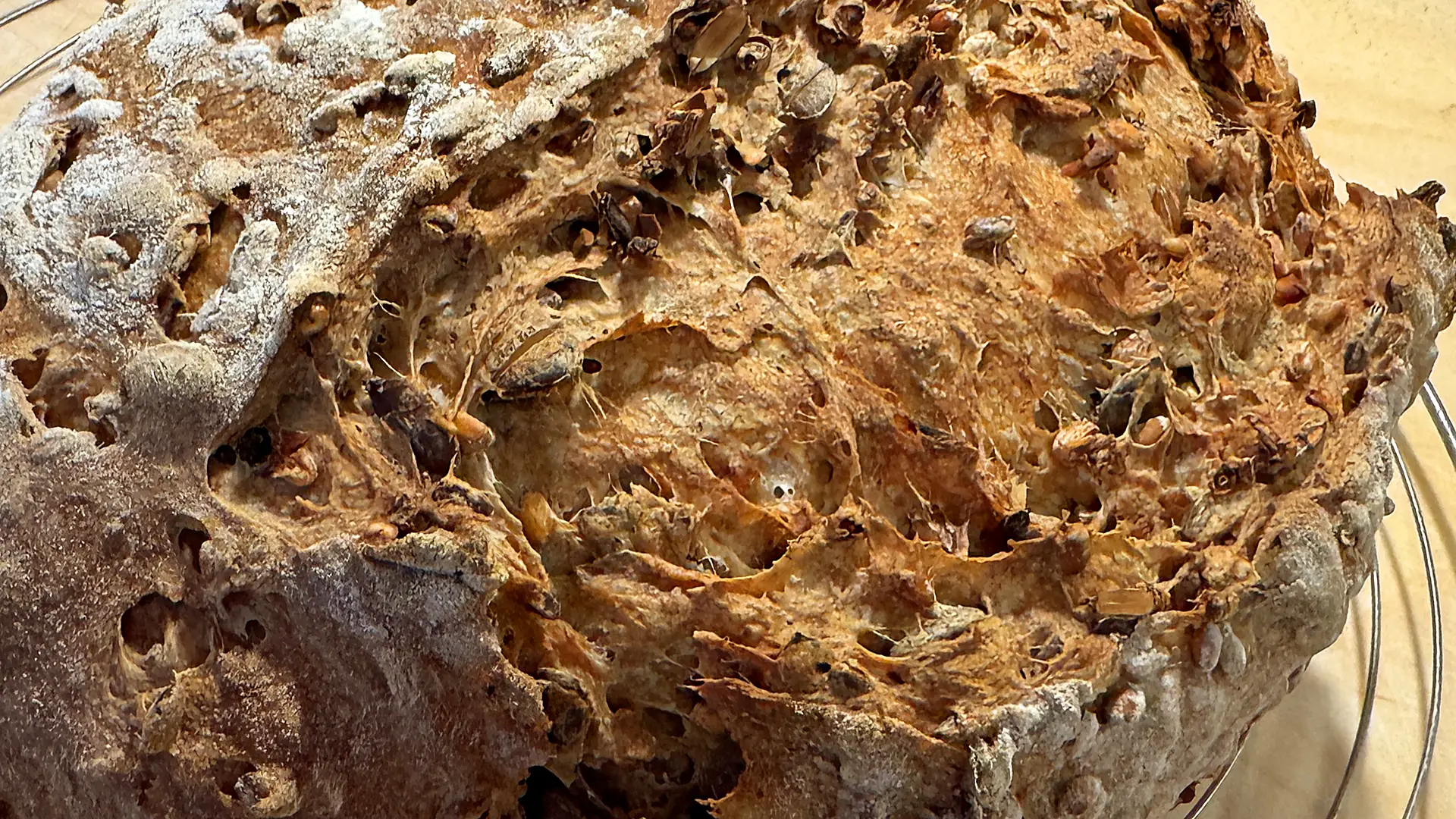 Kürbiskern – Vollkornbrot